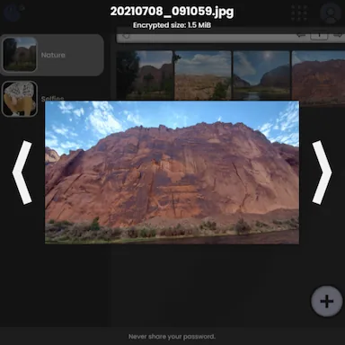 Screenshot of the Mini Server v2.1's gallery app.